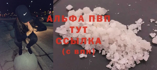 apvp Алзамай
