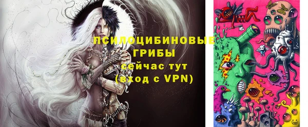 apvp Алзамай