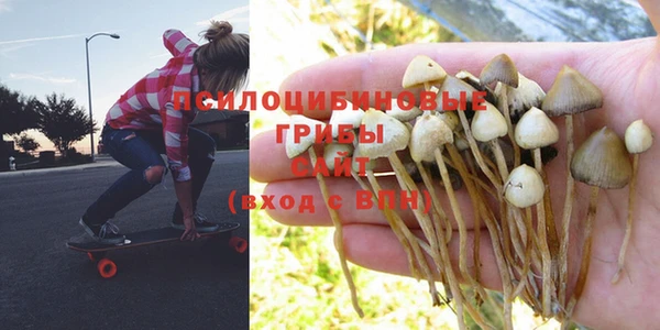 не бодяженный Абинск