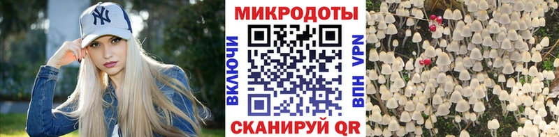 Галлюциногенные грибы Magic Shrooms  даркнет клад  Ахтырский 